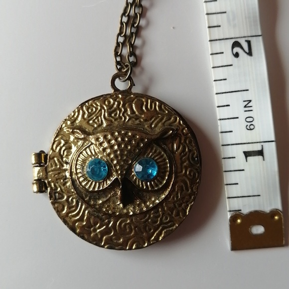 Vintage Steampunk Blue Eyes Owl Locket Necklace - Picture 10 of 11